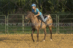 PC4HfunShow2015_9906_notforcopy