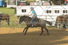 PC4HfunShow2015_9917_notforcopy