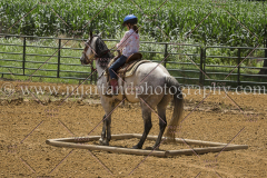 PC4Hbootcamp2015_3758_notforcopy