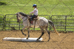 PC4Hbootcamp2015_3773_notforcopy