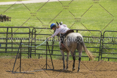 PC4Hbootcamp2015_3777_notforcopy