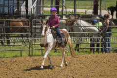 PC4Hbootcamp2015_3782_notforcopy