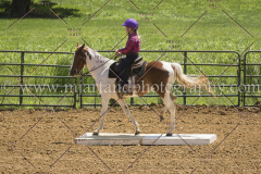 PC4Hbootcamp2015_3818_notforcopy