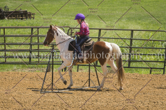 PC4Hbootcamp2015_3825_notforcopy