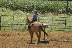 PC4Hbootcamp2015_3842_notforcopy