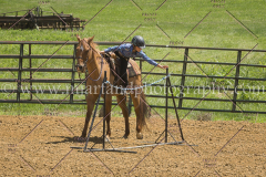 PC4Hbootcamp2015_3866_notforcopy