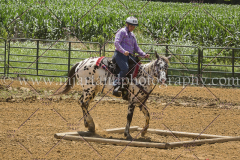 PC4Hbootcamp2015_3883_notforcopy