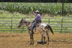 PC4Hbootcamp2015_3889_notforcopy