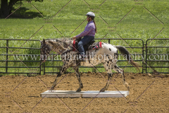 PC4Hbootcamp2015_3900_notforcopy