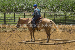 PC4Hbootcamp2015_3928_notforcopy