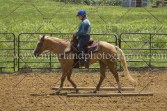 PC4Hbootcamp2015_3939_notforcopy