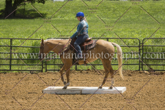 PC4Hbootcamp2015_3948_notforcopy