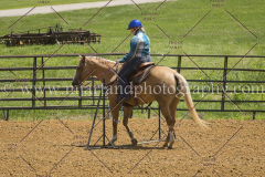 PC4Hbootcamp2015_3955_notforcopy