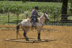 PC4Hbootcamp2015_3971_notforcopy