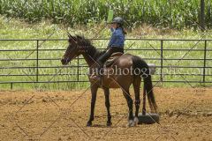 PC4Hbootcamp2015_4010_notforcopy