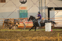 PCSCshow51615__MG_2465