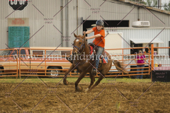 PCSCshow51615__MG_2038