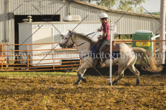 PCSCshow51615__MG_2182