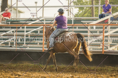 PCSCshow51615__MG_2352