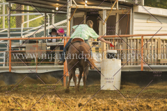 PCSCshow51615__MG_2373