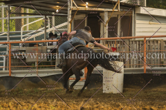 PCSCshow51615__MG_2384