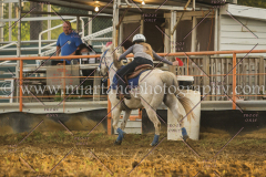 PCSCshow51615__MG_2421