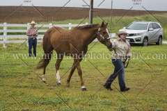 PCSCshow51615__MG_9565