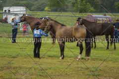 PCSCshow51615__MG_9622