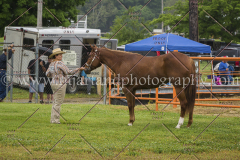 PCSCshow51615__MG_9626