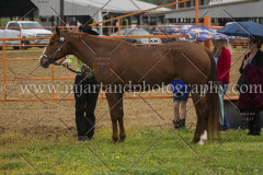 PCSCshow51615__MG_9628