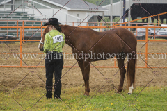 PCSCshow51615__MG_9664