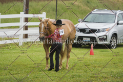 PCSCshow51615__MG_9678
