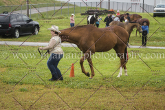 PCSCshow51615__MG_9746