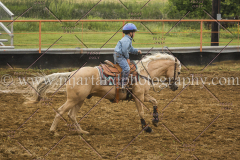 PCSCshow51615__MG_0883