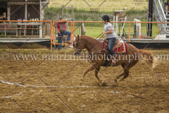 PCSCshow51615__MG_0903