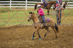 PCSCshow51615__MG_0983