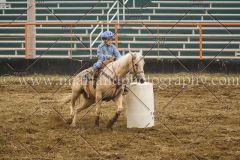 PCSCshow51615__MG_1135