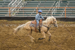 PCSCshow51615__MG_1136