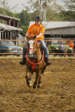 PCSCshow51615__MG_1393