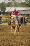 PCSCshow51615__MG_1529