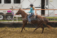 PCSCshow51615__MG_0346