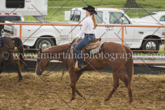 PCSCshow51615__MG_0419