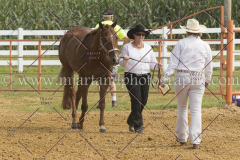 PCSC081615_4937