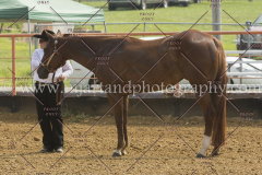 PCSC081615_4964