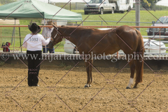 PCSC081615_4972