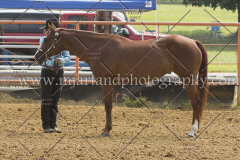 PCSC081615_4977