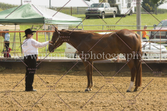 PCSC081615_4994