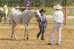 PCSC081615_5050