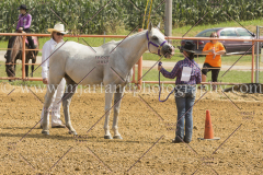 PCSC081615_5056