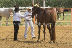 PCSC081615_5119